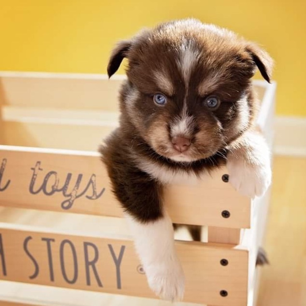 Meet your Posher, Kourtney